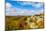 View of Camel Rock and forest, Garden of the Gods Recreation Area, Shawnee National Forest, Illi...-Panoramic Images-Mounted Photographic Print