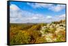 View of Camel Rock and forest, Garden of the Gods Recreation Area, Shawnee National Forest, Illi...-Panoramic Images-Framed Stretched Canvas