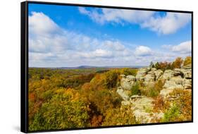 View of Camel Rock and forest, Garden of the Gods Recreation Area, Shawnee National Forest, Illi...-Panoramic Images-Framed Stretched Canvas