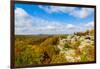 View of Camel Rock and forest, Garden of the Gods Recreation Area, Shawnee National Forest, Illi...-Panoramic Images-Framed Photographic Print