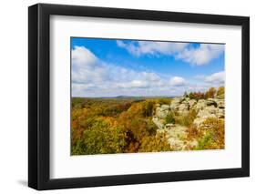 View of Camel Rock and forest, Garden of the Gods Recreation Area, Shawnee National Forest, Illi...-Panoramic Images-Framed Premium Photographic Print