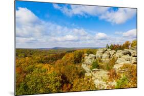 View of Camel Rock and forest, Garden of the Gods Recreation Area, Shawnee National Forest, Illi...-Panoramic Images-Mounted Photographic Print