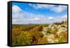 View of Camel Rock and forest, Garden of the Gods Recreation Area, Shawnee National Forest, Illi...-Panoramic Images-Framed Stretched Canvas