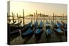 View of Canale di San Marco and with Gondolas, Venice, Italy-David Noyes-Stretched Canvas