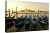 View of Canale di San Marco and with Gondolas, Venice, Italy-David Noyes-Stretched Canvas