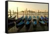 View of Canale di San Marco and with Gondolas, Venice, Italy-David Noyes-Framed Stretched Canvas