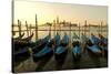 View of Canale di San Marco and with Gondolas, Venice, Italy-David Noyes-Stretched Canvas