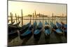 View of Canale di San Marco and with Gondolas, Venice, Italy-David Noyes-Mounted Photographic Print