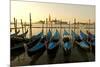 View of Canale di San Marco and with Gondolas, Venice, Italy-David Noyes-Mounted Photographic Print