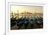 View of Canale di San Marco and with Gondolas, Venice, Italy-David Noyes-Framed Photographic Print