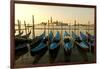 View of Canale di San Marco and with Gondolas, Venice, Italy-David Noyes-Framed Photographic Print