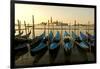 View of Canale di San Marco and with Gondolas, Venice, Italy-David Noyes-Framed Photographic Print