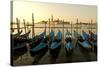 View of Canale di San Marco and with Gondolas, Venice, Italy-David Noyes-Stretched Canvas