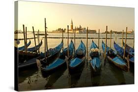 View of Canale di San Marco and with Gondolas, Venice, Italy-David Noyes-Stretched Canvas