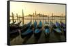 View of Canale di San Marco and with Gondolas, Venice, Italy-David Noyes-Framed Stretched Canvas