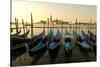 View of Canale di San Marco and with Gondolas, Venice, Italy-David Noyes-Stretched Canvas