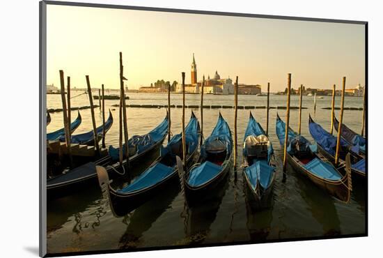 View of Canale di San Marco and with Gondolas, Venice, Italy-David Noyes-Mounted Photographic Print