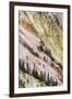 View of canyon slope with oxidizing rocks, Grand Canyon of Yellowstone, Yellowstone , Wyoming-Bill Coster-Framed Photographic Print