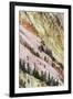 View of canyon slope with oxidizing rocks, Grand Canyon of Yellowstone, Yellowstone , Wyoming-Bill Coster-Framed Photographic Print