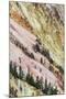 View of canyon slope with oxidizing rocks, Grand Canyon of Yellowstone, Yellowstone , Wyoming-Bill Coster-Mounted Photographic Print