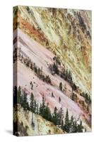 View of canyon slope with oxidizing rocks, Grand Canyon of Yellowstone, Yellowstone , Wyoming-Bill Coster-Stretched Canvas
