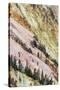 View of canyon slope with oxidizing rocks, Grand Canyon of Yellowstone, Yellowstone , Wyoming-Bill Coster-Stretched Canvas