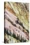 View of canyon slope with oxidizing rocks, Grand Canyon of Yellowstone, Yellowstone , Wyoming-Bill Coster-Stretched Canvas