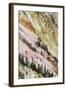 View of canyon slope with oxidizing rocks, Grand Canyon of Yellowstone, Yellowstone , Wyoming-Bill Coster-Framed Photographic Print