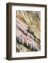 View of canyon slope with oxidizing rocks, Grand Canyon of Yellowstone, Yellowstone , Wyoming-Bill Coster-Framed Photographic Print