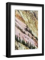 View of canyon slope with oxidizing rocks, Grand Canyon of Yellowstone, Yellowstone , Wyoming-Bill Coster-Framed Photographic Print