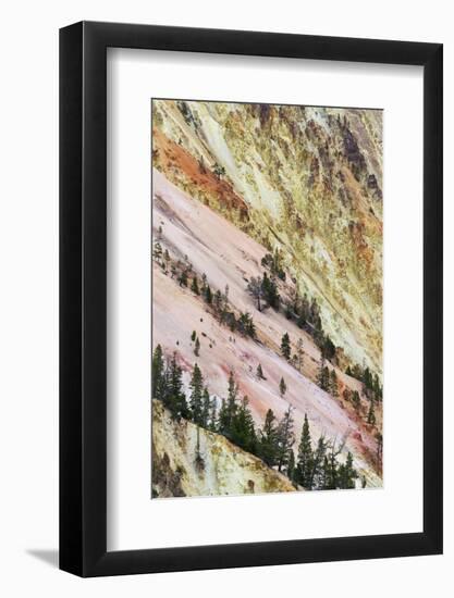View of canyon slope with oxidizing rocks, Grand Canyon of Yellowstone, Yellowstone , Wyoming-Bill Coster-Framed Photographic Print