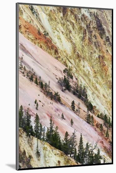 View of canyon slope with oxidizing rocks, Grand Canyon of Yellowstone, Yellowstone , Wyoming-Bill Coster-Mounted Photographic Print