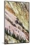 View of canyon slope with oxidizing rocks, Grand Canyon of Yellowstone, Yellowstone , Wyoming-Bill Coster-Mounted Photographic Print
