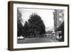 View of Capitol Park, 6th, Exterior View of Hotel Olympian - Olympia, WA-Lantern Press-Framed Art Print