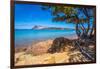 View of Capo Coda Cavallo beach and Isola di Tavolara in background, Sardinia, Italy, Mediterranean-Frank Fell-Framed Photographic Print