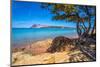 View of Capo Coda Cavallo beach and Isola di Tavolara in background, Sardinia, Italy, Mediterranean-Frank Fell-Mounted Photographic Print