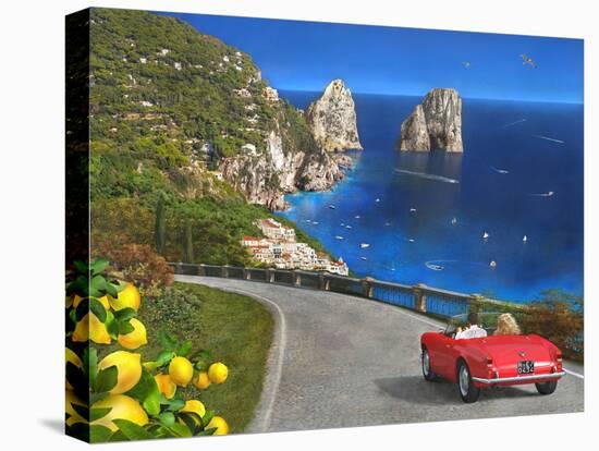 View of Capri-Dominic Davison-Stretched Canvas