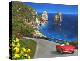 View of Capri-Dominic Davison-Stretched Canvas