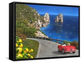 View of Capri-Dominic Davison-Framed Stretched Canvas