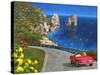 View of Capri-Dominic Davison-Stretched Canvas