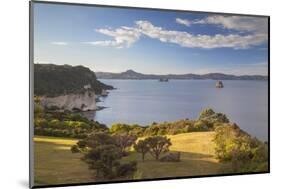 View of Cathedral Cove Marine Reserve (Te Whanganui-A-Hei)-Ian-Mounted Photographic Print