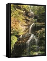 View of Cathedral Falls in Autumn, West Virginia, USA-Adam Jones-Framed Stretched Canvas