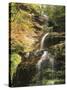 View of Cathedral Falls in Autumn, West Virginia, USA-Adam Jones-Stretched Canvas
