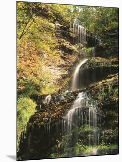 View of Cathedral Falls in Autumn, West Virginia, USA-Adam Jones-Mounted Photographic Print