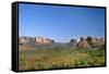 View of Cathedral Rock in Verde Valley, Sedona, Arizona, USA-Massimo Borchi-Framed Stretched Canvas