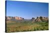 View of Cathedral Rock in Verde Valley, Sedona, Arizona, USA-Massimo Borchi-Stretched Canvas