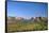 View of Cathedral Rock in Verde Valley, Sedona, Arizona, USA-Massimo Borchi-Framed Stretched Canvas