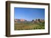 View of Cathedral Rock in Verde Valley, Sedona, Arizona, USA-Massimo Borchi-Framed Photographic Print