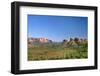 View of Cathedral Rock in Verde Valley, Sedona, Arizona, USA-Massimo Borchi-Framed Photographic Print