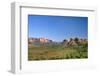View of Cathedral Rock in Verde Valley, Sedona, Arizona, USA-Massimo Borchi-Framed Photographic Print